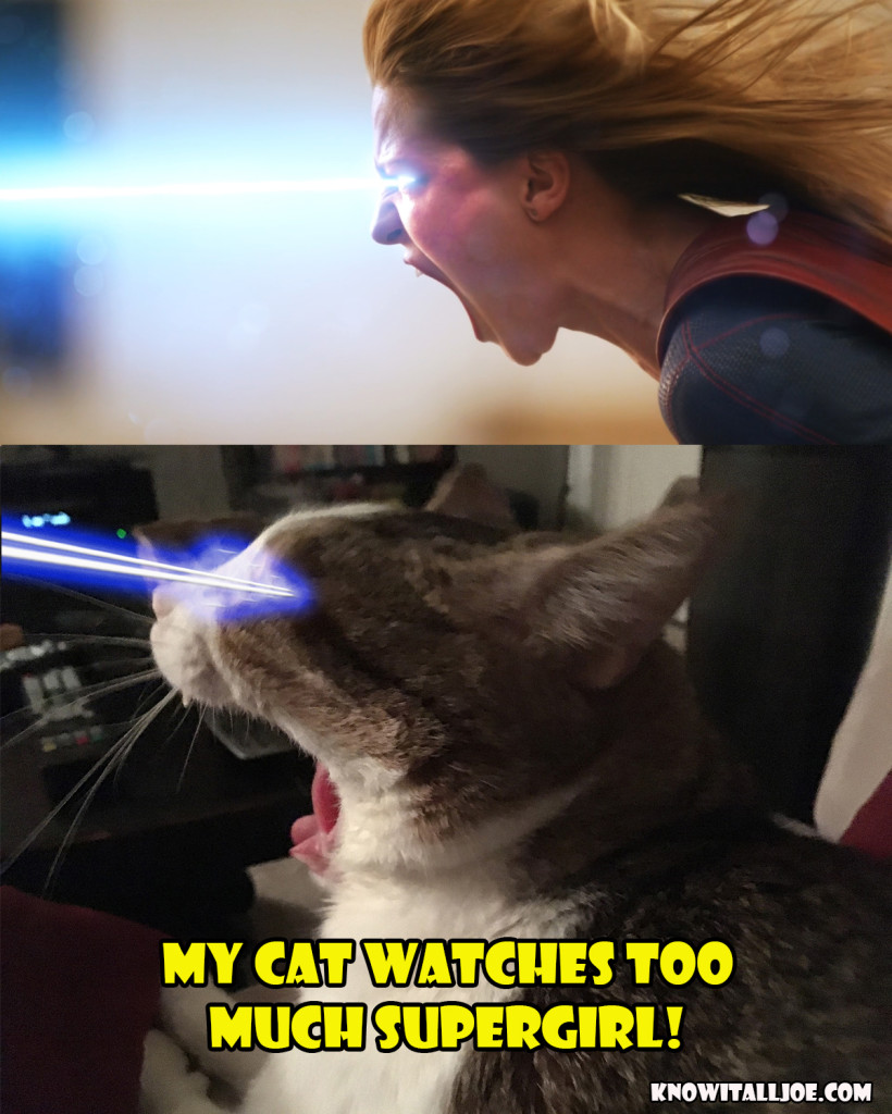 My Cat Watches Too Much Supergirl