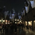 Harry Potter Universal Pic 72